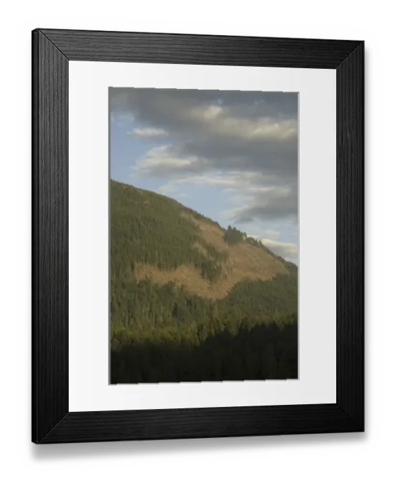 Framed Print : Clearcut Along Alberni Inlet, Vancouver Island, British Columbia, Canada, September 2006 Framed Print : Clearcut Along Alberni Inlet, Vancouver Island, British Columbia, Canada, September 2006