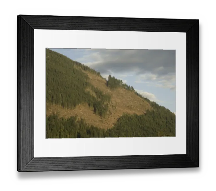 Framed Print : Clearcut Along Alberni Inlet, Vancouver Island, British Columbia, Canada, September 2006 Framed Print : Clearcut Along Alberni Inlet, Vancouver Island, British Columbia, Canada, September 2006