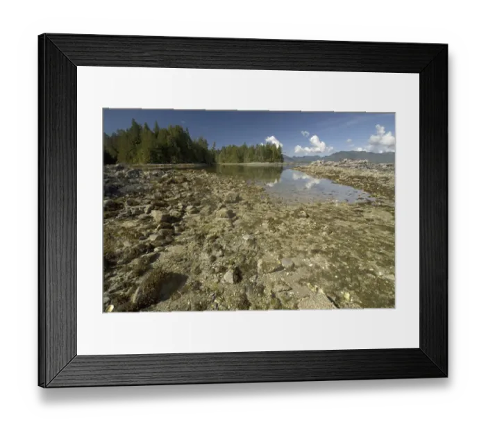 Framed Print : Hand Island, Broken Island Group, Pacific Rim National Park Preserve, British Columbia