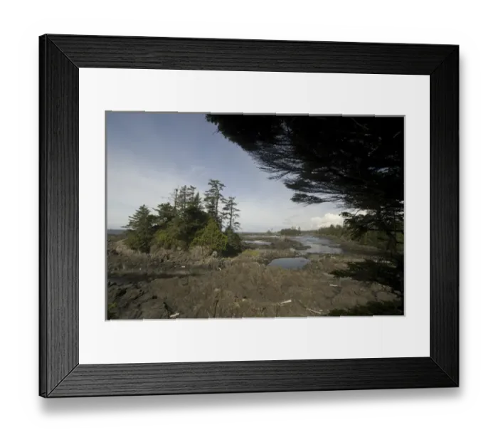 Framed Print : Along the Wild Pacific Trail, Pacific Rim National Park Reserve, Ucluelet, British Columbia
