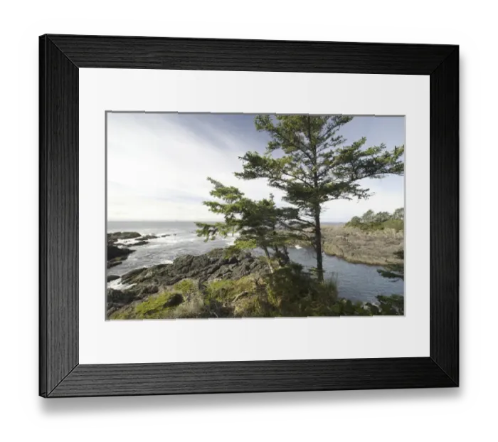 Framed Print : Along the Wild Pacific Trail, Pacific Rim National Park Reserve, Ucluelet, British Columbia