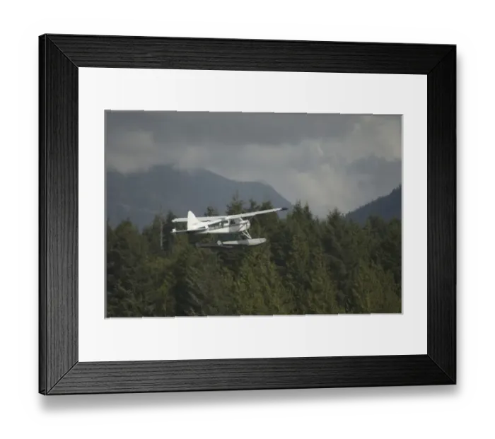 Framed Print : Float Plane Flying, Tofino, British Columbia, Canada, September 2006 Framed Print : Float Plane Flying, Tofino, British Columbia, Canada, September 2006