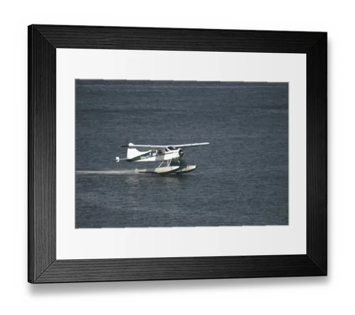 Framed Print : Float Plane Flying, Tofino, British Columbia, Canada, September 2006 Framed Print : Float Plane Flying, Tofino, British Columbia, Canada, September 2006