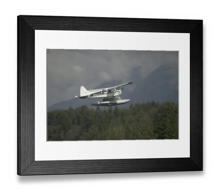 Framed Print : Float Plane Flying, Tofino, British Columbia, Canada, September 2006 Framed Print : Float Plane Flying, Tofino, British Columbia, Canada, September 2006