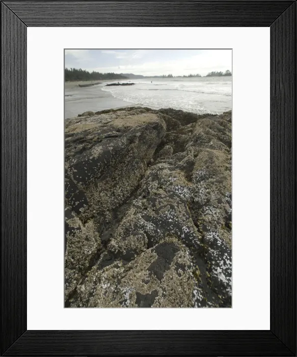 Framed Print : British Columbia, Canada, September 2006 Framed Print : British Columbia, Canada, September 2006