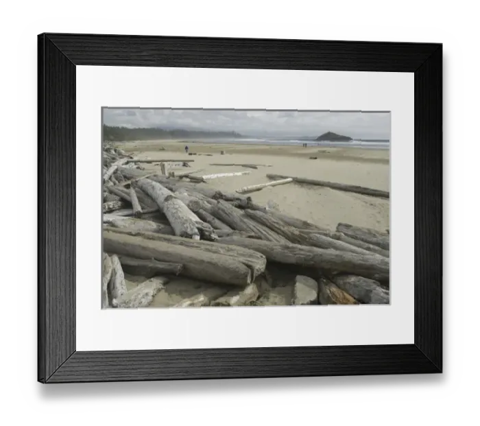 Framed Print : Driftwood at Long Beach, Tofino, British Columbia, Canada, September 2006 Framed Print : Driftwood at Long Beach, Tofino, British Columbia, Canada, September 2006