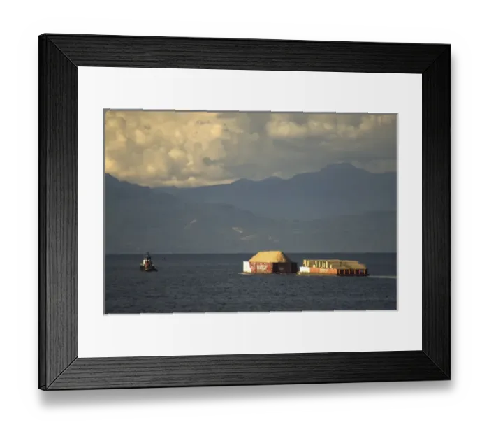 Framed Print : Hauling Timber, Johnstone Strait, British Columbia, Canada, September 2006 Framed Print : Hauling Timber, Johnstone Strait, British Columbia, Canada, September 2006