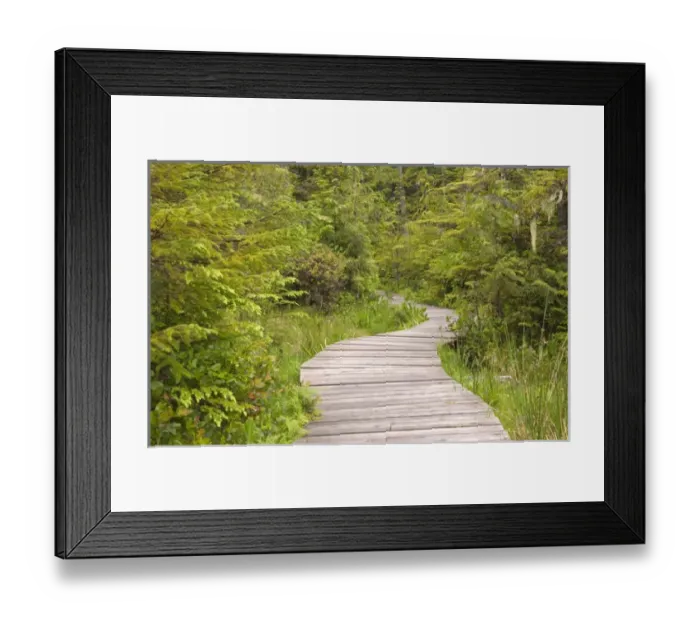 Framed Print : North America, Canada, Queen Charlotte Islands, Spirit Lake Trail Framed Print : North America, Canada, Queen Charlotte Islands, Spirit Lake Trail