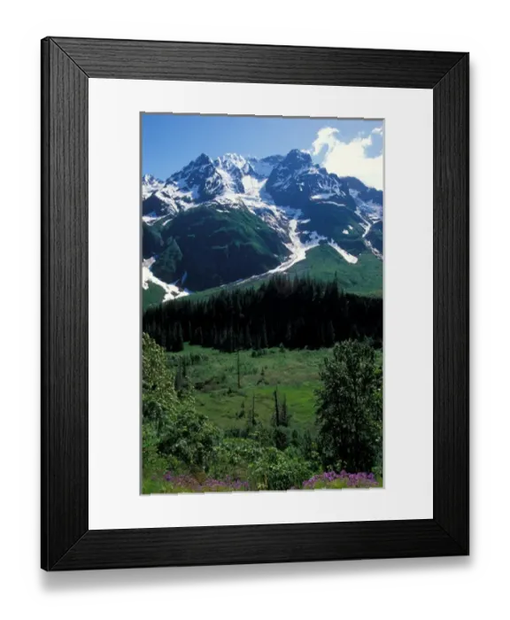 Framed Print : natural landscape in Stewart, British Columbia, Canada Framed Print : natural landscape in Stewart, British Columbia, Canada