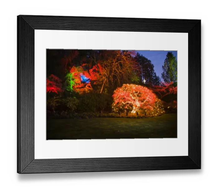 Framed Print : CANADA, British Columbia, Victoria. Christmas Lighting, Butchart Gardens
