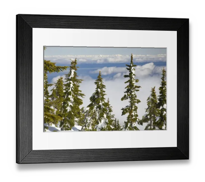 Framed Print : Mt. Washington Ski Resort bordering Strathcona Provincial Park (BCs oldest park Framed Print : Mt. Washington Ski Resort bordering Strathcona Provincial Park (BCs oldest park