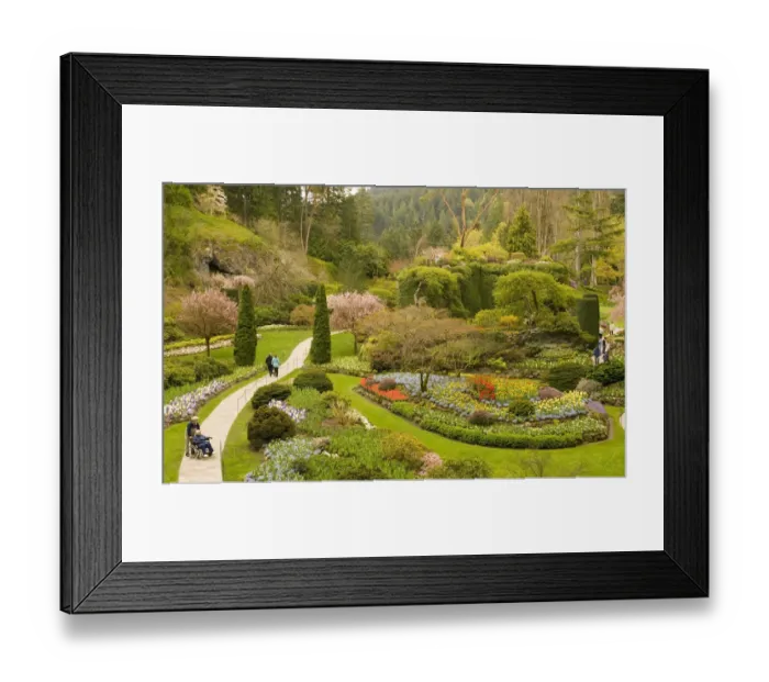 Framed Print : North America, Canada, British Columbia, Butchart Gardens. Spectacular sunken gardens Framed Print : North America, Canada, British Columbia, Butchart Gardens. Spectacular sunken gardens