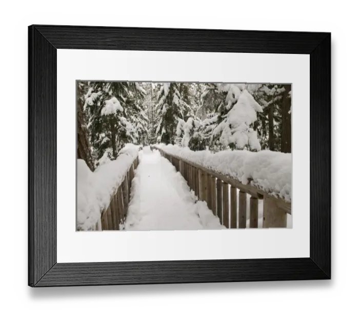Framed Print : Canada, BC, Whistler / Blackcomb Resort. Lost Lake trail system for cross country Framed Print : Canada, BC, Whistler / Blackcomb Resort. Lost Lake trail system for cross country