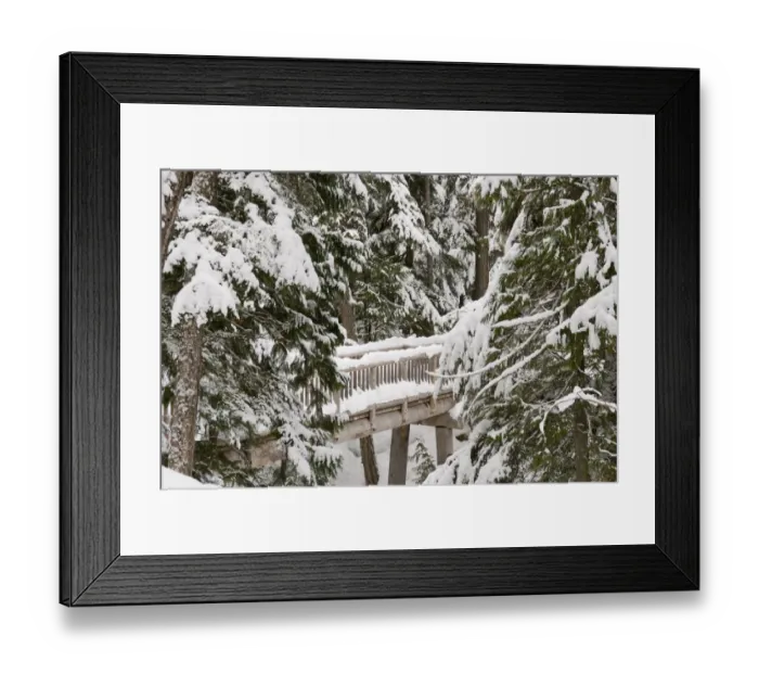 Framed Print : Canada, BC, Whistler / Blackcomb Resort. Lost Lake trail system for cross country Framed Print : Canada, BC, Whistler / Blackcomb Resort. Lost Lake trail system for cross country