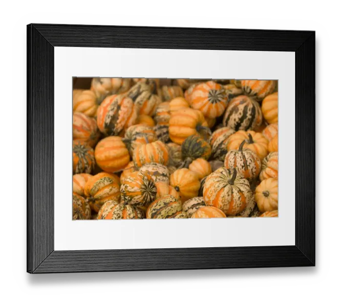 Framed Print : 02. CANADA, British Columbia, Keremeos. Autumn / Harvest / Pumpkins Framed Print : 02. CANADA, British Columbia, Keremeos. Autumn / Harvest / Pumpkins