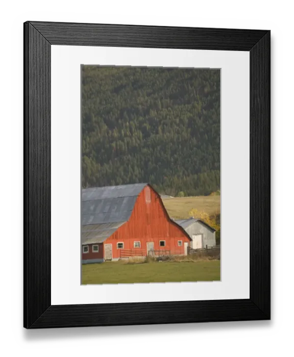 Framed Print : 02. CANADA, British Columbia, Enderby. Red Barn  /  Autumn