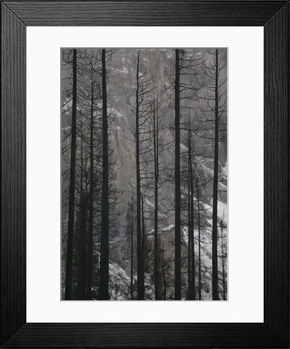 Framed Print : 02. CANADA, British Columbia, The Rockies Framed Print : 02. CANADA, British Columbia, The Rockies