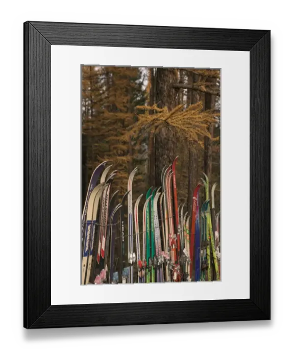 Framed Print : 02. CANADA, British Columbia, Kimberly. Snow Fence made from Old Skis Framed Print : 02. CANADA, British Columbia, Kimberly. Snow Fence made from Old Skis