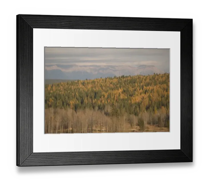 Framed Print : 02. CANADA, British Columbia, Cranbrook. Mountain Landscape / Autumn Framed Print : 02. CANADA, British Columbia, Cranbrook. Mountain Landscape / Autumn