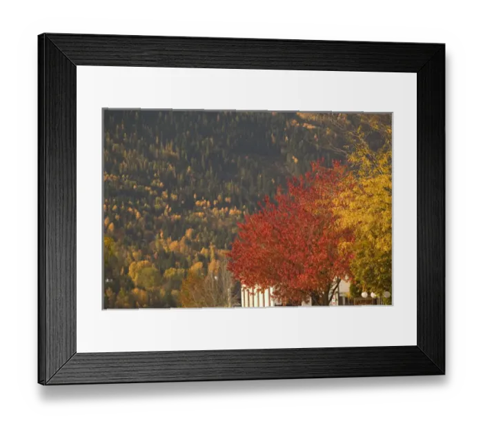 Framed Print : 02. CANADA, British Columbia, Nelson. Autumn : Downtown Detail Framed Print : 02. CANADA, British Columbia, Nelson. Autumn : Downtown Detail