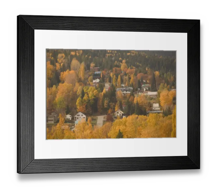 Framed Print : 02. CANADA, British Columbia, Rossland. Autumn Foliage. Former Mining, now Ski Town Framed Print : 02. CANADA, British Columbia, Rossland. Autumn Foliage. Former Mining, now Ski Town