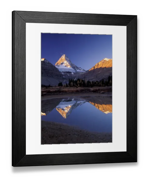 Framed Print : North America, Canada, Assiniboine Prov. Park, Mt. Assiniboine reflection Framed Print : North America, Canada, Assiniboine Prov. Park, Mt. Assiniboine reflection