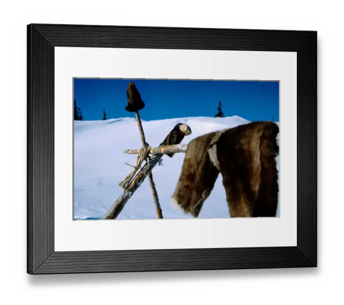 Framed Print : North America, Arctic, Canada, Manitoba, Churchill. Typical clothes of the Arctic area