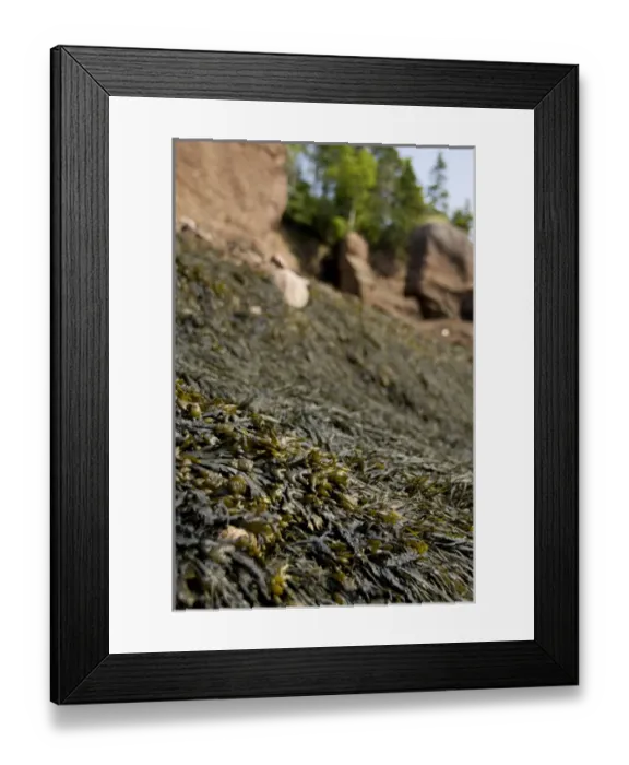 Framed Print : Canada, New Brunswick, Hopewell Cape, Bay of Fundy. Hopewell Rocks at low tide (aka Framed Print : Canada, New Brunswick, Hopewell Cape, Bay of Fundy. Hopewell Rocks at low tide (aka
