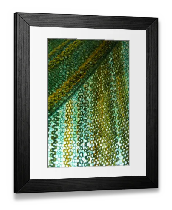 Framed Print : Canada, New Brunswick, Lakeburn. London-Wul Economusee. Typical wool producer using