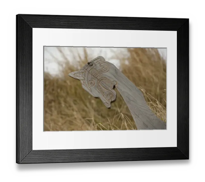 Framed Print : Canada, Newfoundland and Labrador, L Anse Aux Meadows. Archaeological site of