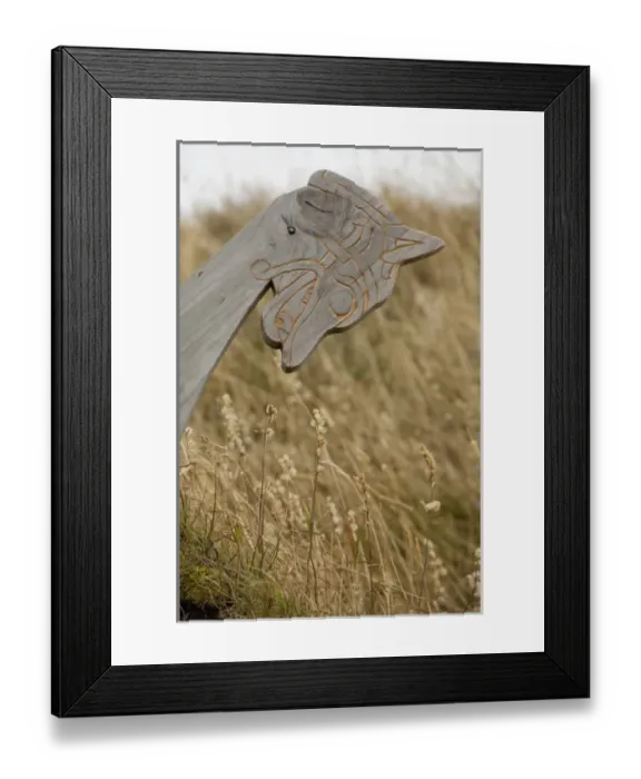 Framed Print : Canada, Newfoundland and Labrador, L Anse Aux Meadows. Archaeological site of