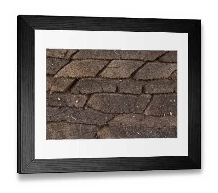 Framed Print : Canada, Newfoundland and Labrador, L Anse Aux Meadows. Archaeological site of Framed Print : Canada, Newfoundland and Labrador, L Anse Aux Meadows. Archaeological site of