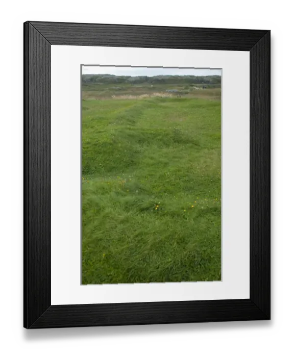 Framed Print : Canada, Newfoundland and Labrador, L Anse Aux Meadows. Archaeological site, only