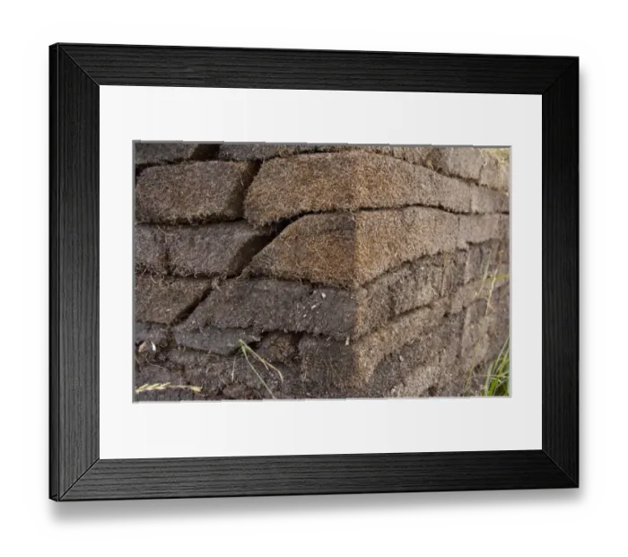Framed Print : Canada, Newfoundland and Labrador, L Anse Aux Meadows. Archaeological site of Framed Print : Canada, Newfoundland and Labrador, L Anse Aux Meadows. Archaeological site of