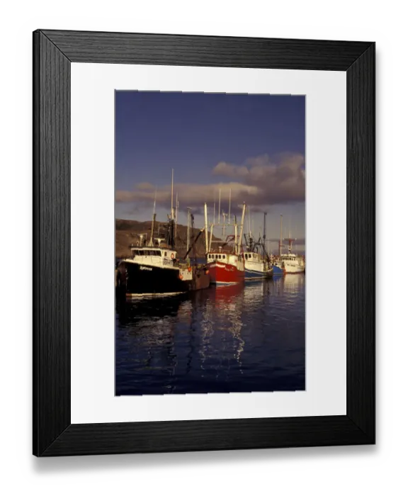 Framed Print : NA, Canada, Newfoundland, St. Johns Boats in St. Johns Harbor Framed Print : NA, Canada, Newfoundland, St. Johns Boats in St. Johns Harbor