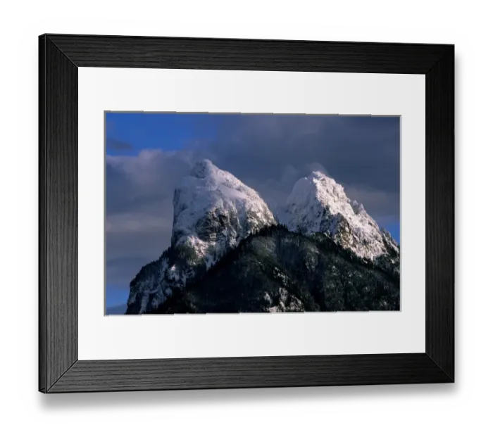 Framed Print : Canada, Northwest Territory, Mountain Caribou Framed Print : Canada, Northwest Territory, Mountain Caribou