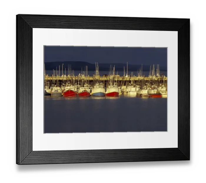 Framed Print : NA, Canada, Nova Scotia, Digby Digby scallop fleet