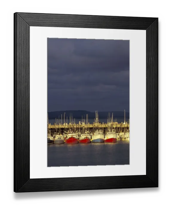 Framed Print : NA, Canada, Nova Scotia, Digby Digby scallop fleet Framed Print : NA, Canada, Nova Scotia, Digby Digby scallop fleet