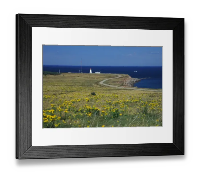 Framed Print : North America, Canada, Nova Scotia, Cape Breton, Cheticamp Island lighthouse Framed Print : North America, Canada, Nova Scotia, Cape Breton, Cheticamp Island lighthouse