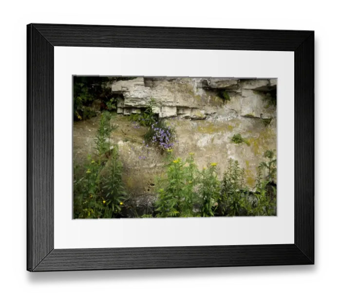 Framed Print : Canada: Ontario, Bruce Peninsula, Tobermory. Limestone at edge of LIttle Tub Harbour