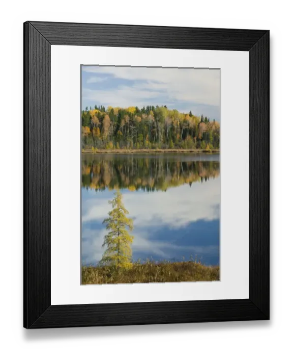 Framed Print : CANADA-Ontario-Kashabowie: Kashabowie Lake / Autumn Framed Print : CANADA-Ontario-Kashabowie: Kashabowie Lake / Autumn