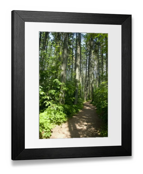 Framed Print : Canada, Prince Edward Island. Green Gables NP. Setting for L. M. Montgomerys classic fiction Framed Print : Canada, Prince Edward Island. Green Gables NP. Setting for L. M. Montgomerys classic fiction