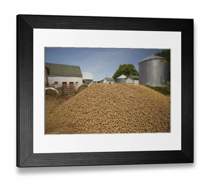 Framed Print : Canada, Prince Edward Island, Nine-Mile-Creek. Potato harvest Framed Print : Canada, Prince Edward Island, Nine-Mile-Creek. Potato harvest