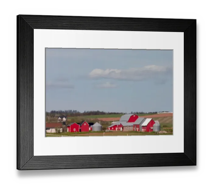 Framed Print : NA, Canada, Prince Edward Island. Country farm