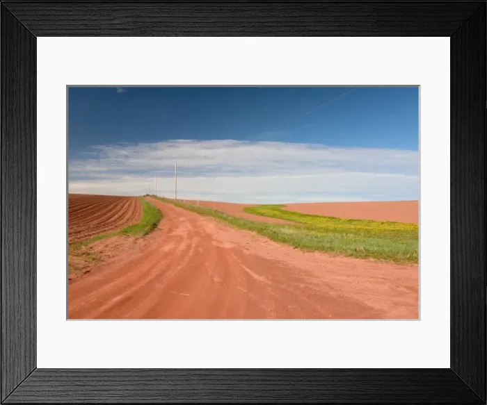 Framed Print : NA, Canada, Prince Edward Island. Country road