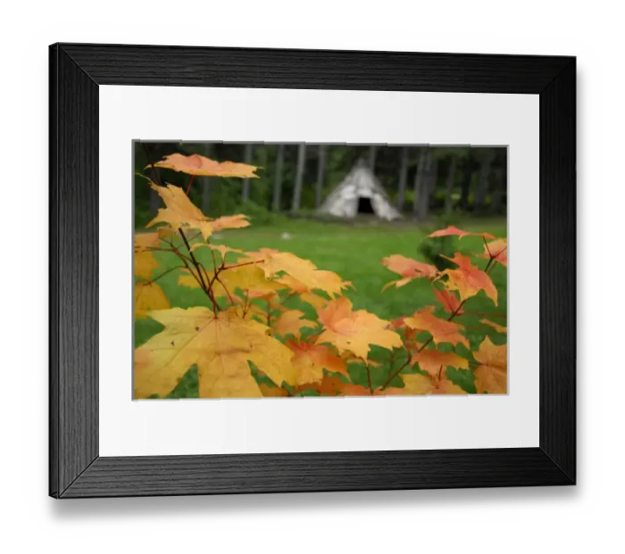 Framed Print : Canada, Quebec, Gaspe. Micmac First Nation Indian Village, birch bark teepee with fall leaves