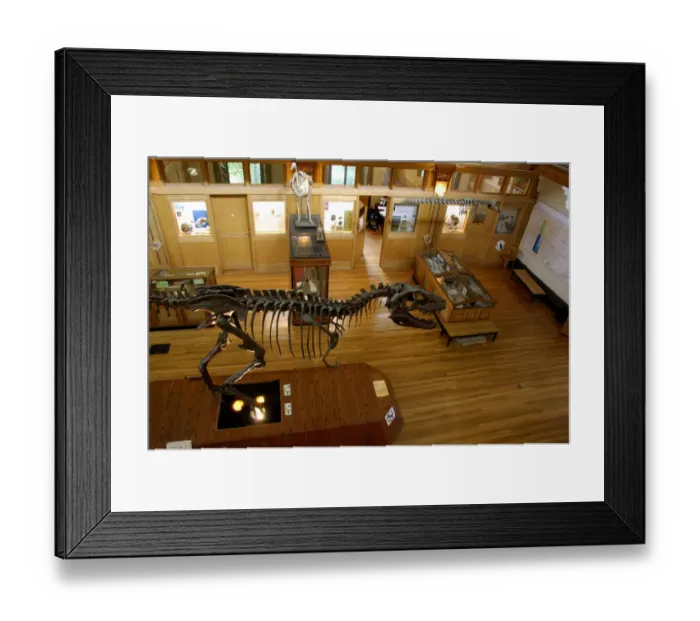 Framed Print : Canada, Quebec, Montreal. McGill University, Redpath Natural History Museum, interior