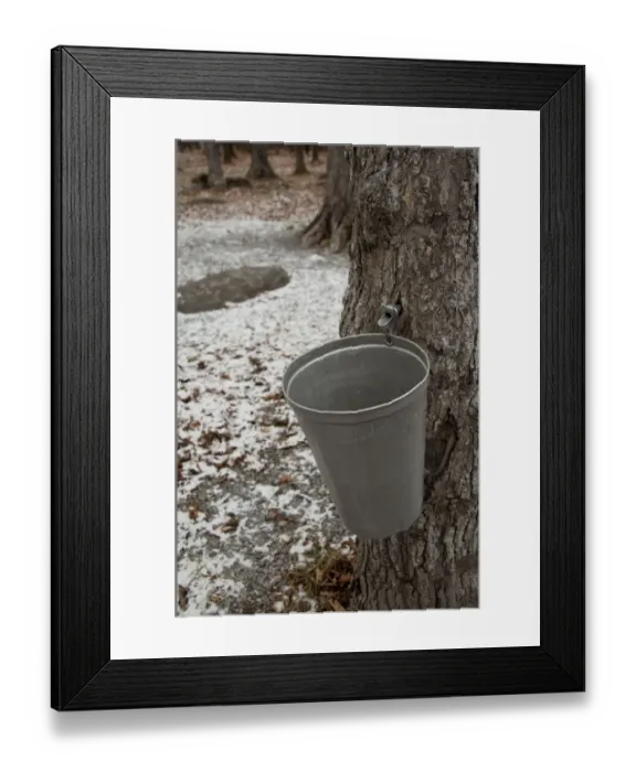 Framed Print : Canada, Quebec, Saint-Augustin-de-Desmaures. Le Chemin du Roy (aka Sugar Shack) Framed Print : Canada, Quebec, Saint-Augustin-de-Desmaures. Le Chemin du Roy (aka Sugar Shack)