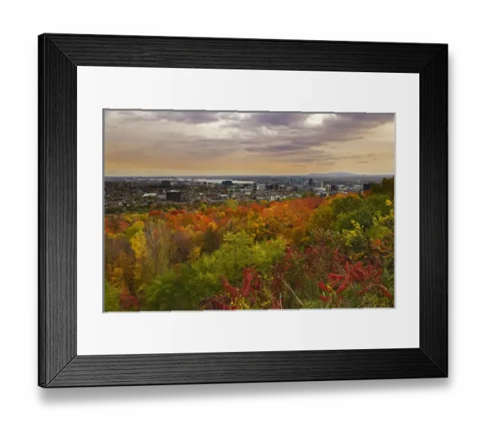 Framed Print : Sights of Montreal, scenic view Montreal from Mount Royal Park Framed Print : Sights of Montreal, scenic view Montreal from Mount Royal Park