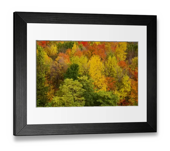 Framed Print : Sights of Montreal Framed Print : Sights of Montreal